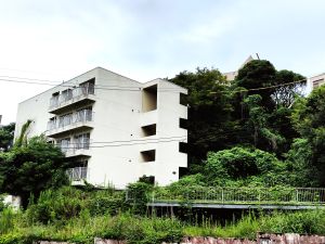 ビル敷地内の伐採